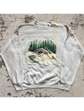 Fruit of the Loom Men's Grey Sweatshirt